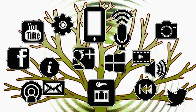 zmiany w ekosystemie